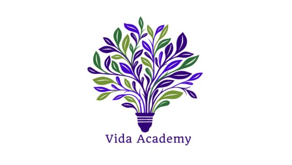Vida Academy 2