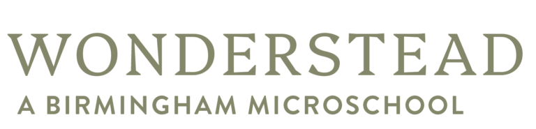 Wonderstead Logo placeholder 768x185