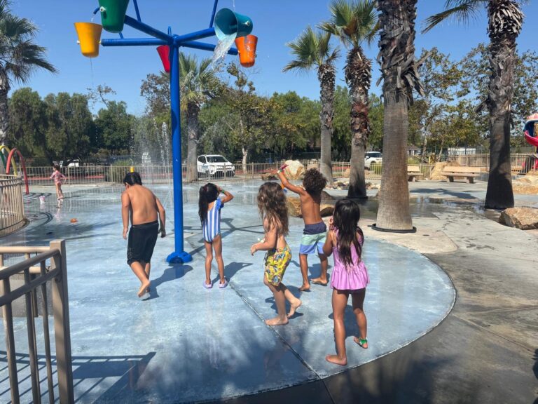 a1f20eff fac8 4173 9225 08417a0ae35a 768x576