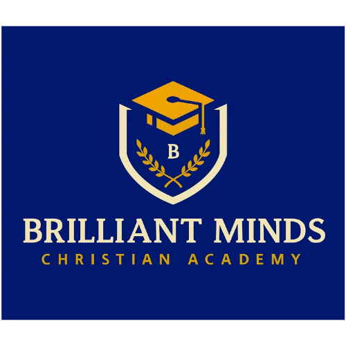 Brilliant Minds Logo PNG Website