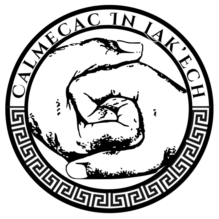 Logos C In LakEch 1 768x768