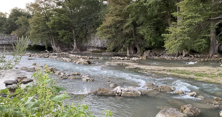 Forest STEAM Academy on the river
