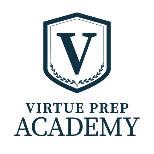 v logo