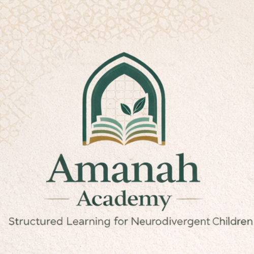 Amanah Academy i 3